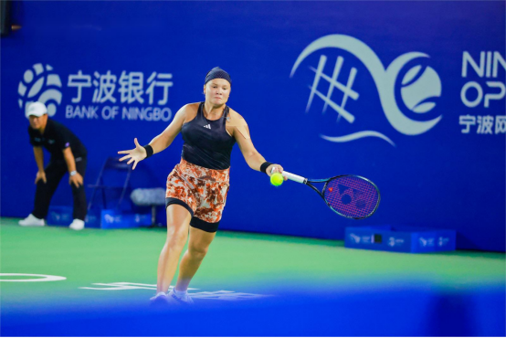 瓦塞尔自进 瓦塞尔自进